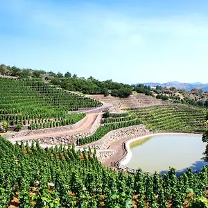 La Gelsomina - Etna Alloggio per agriturismo